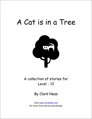 Beginning Reader Stories1-38级-BRS Level 13